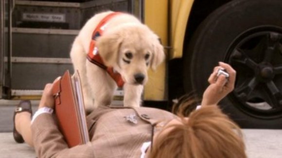 Photo from the movie Space Buddies