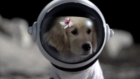 Photo from the movie Space Buddies