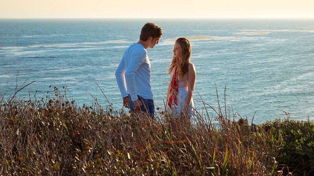 Photo du film SPF-18
