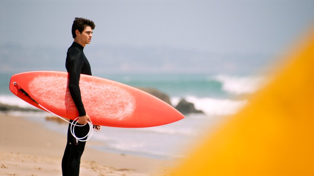 Photo du film SPF-18