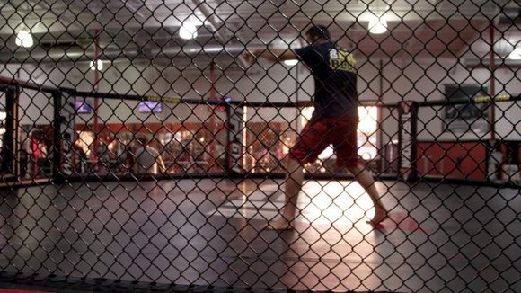 Photo du film The Hurt Business