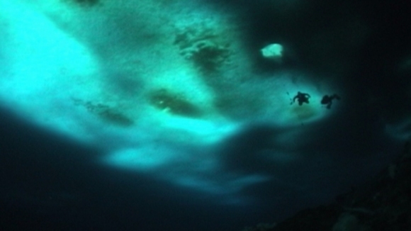 Photo du film The Wild Blue Yonder