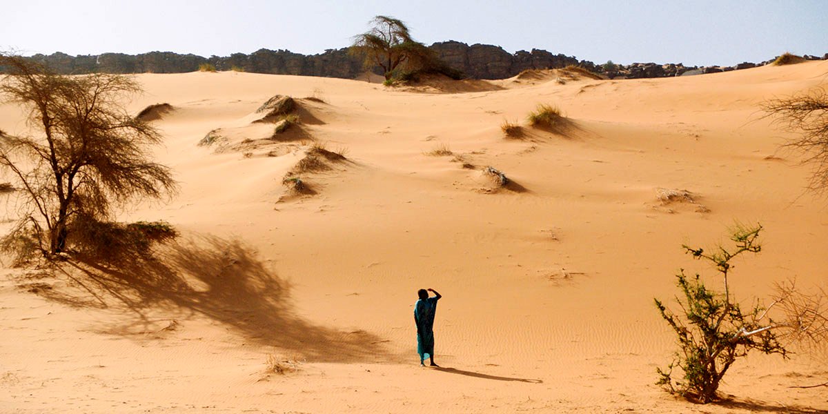 Photo du film Sira, une héroïne africaine [2023]