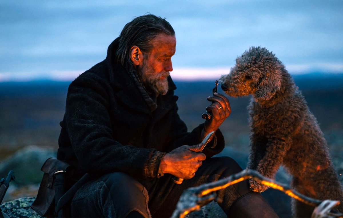 Photo from the movie Sisu