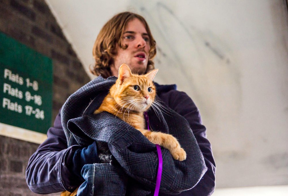 Photo from the movie A Street Cat Named Bob