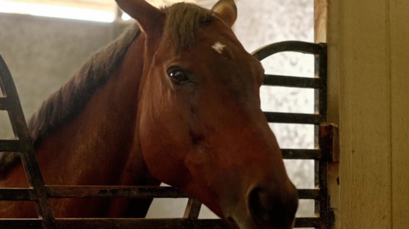 Photo from the movie Emma's Chance