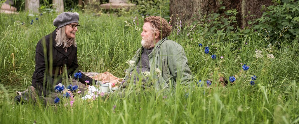 Photo from the movie Hampstead