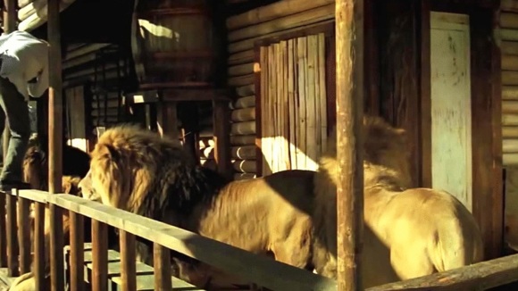 Photo from the movie Roar