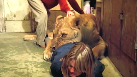 Photo from the movie Roar