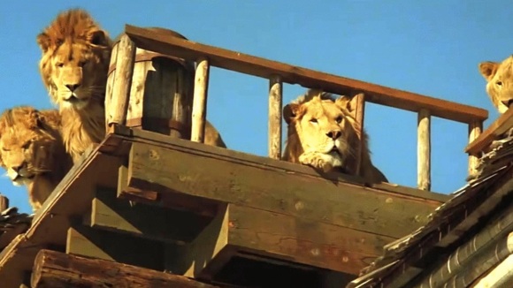 Photo from the movie Roar