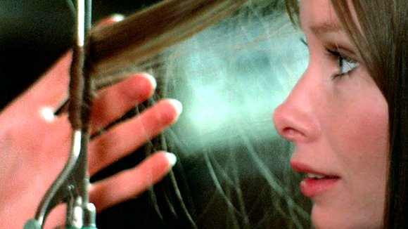 Photo du film Sugar Cookies