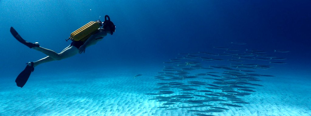 Photo du film L'Odyssée