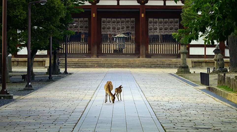 Photo du film The Year Earth Changed