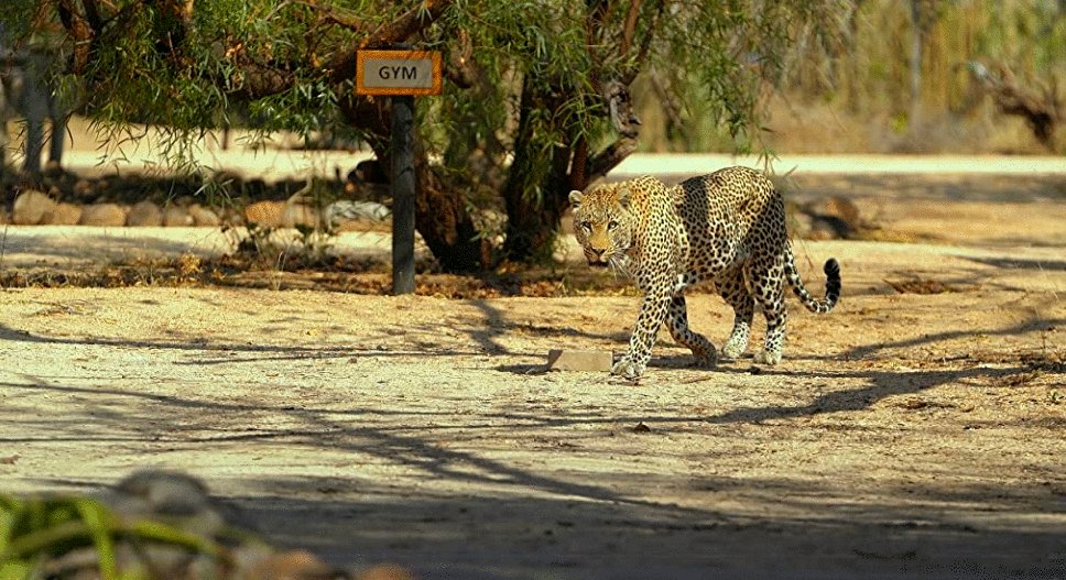 Photo du film The Year Earth Changed