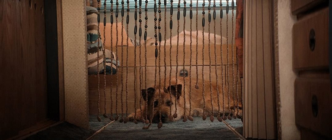 Photo from the movie Finch