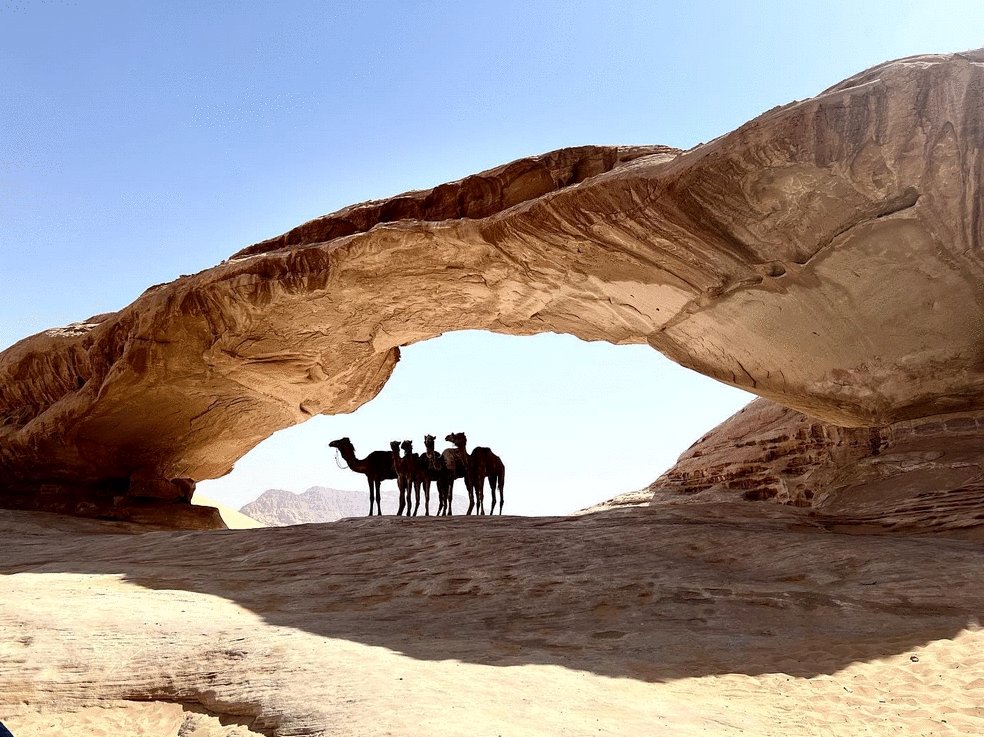 Photo from the movie Aadujeevitham