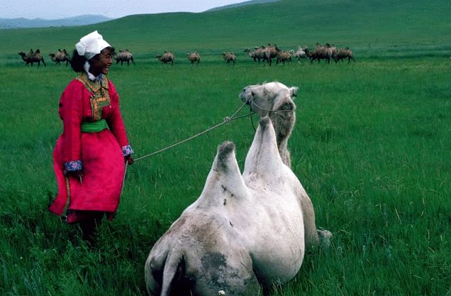 Photo from the movie Johanna D'Arc of Mongolia