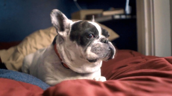 Photo from the movie 7 Chinese Brothers