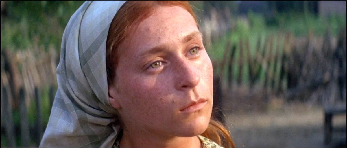 Photo from the movie Fiddler's Journey to the Big Screen