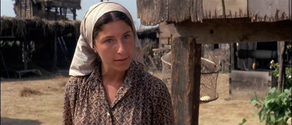 Photo from the movie Fiddler's Journey to the Big Screen