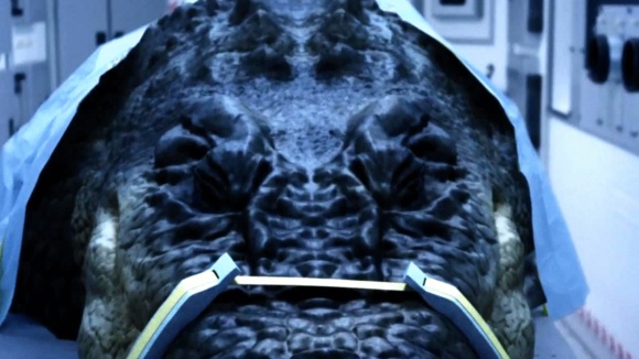 Photo du film Lake Placid vs. Anaconda