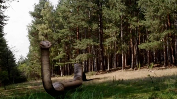 Photo du film Lake Placid vs. Anaconda