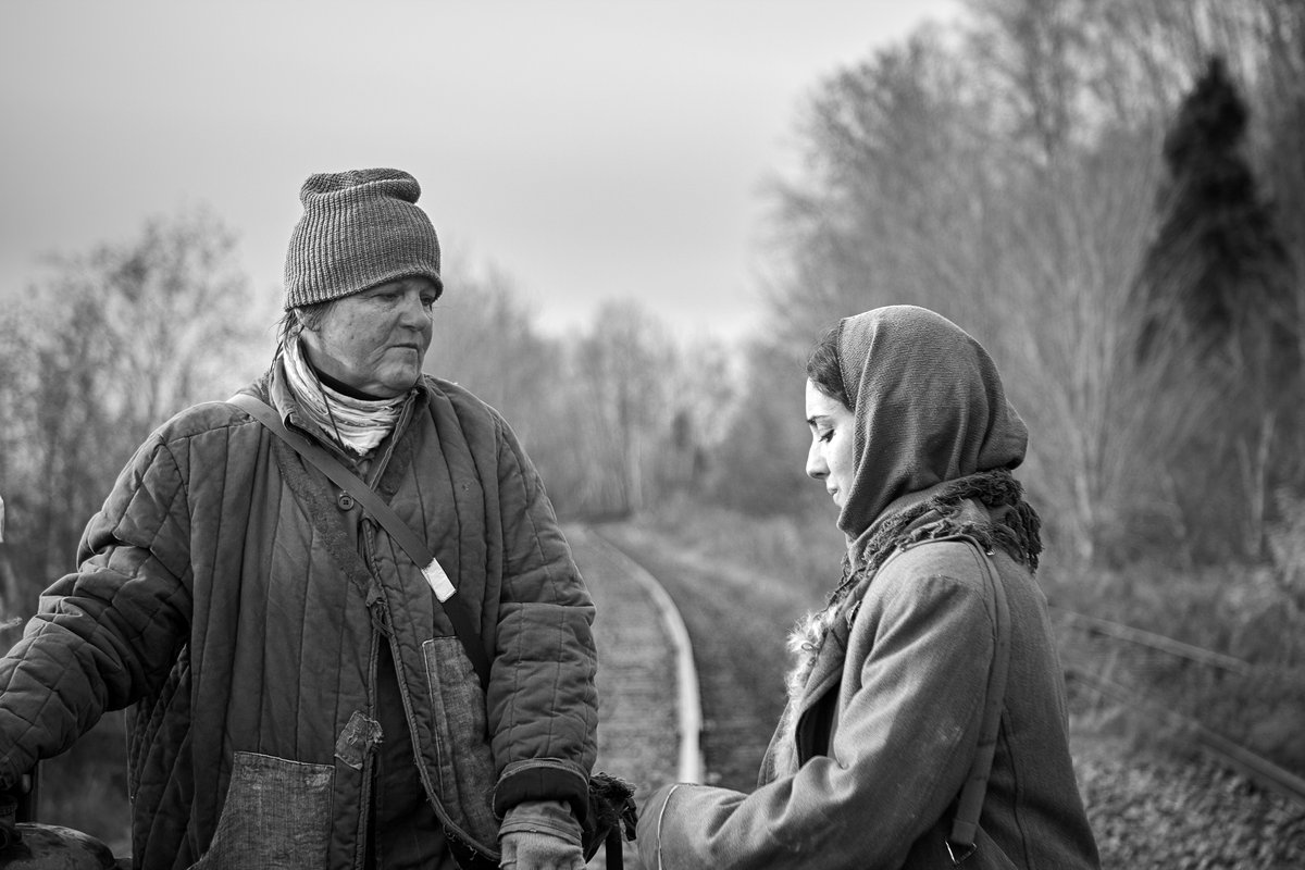 Photo du film Nulle trace