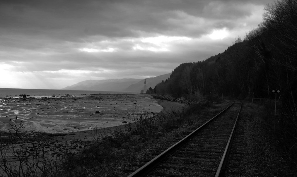 Photo du film Nulle trace