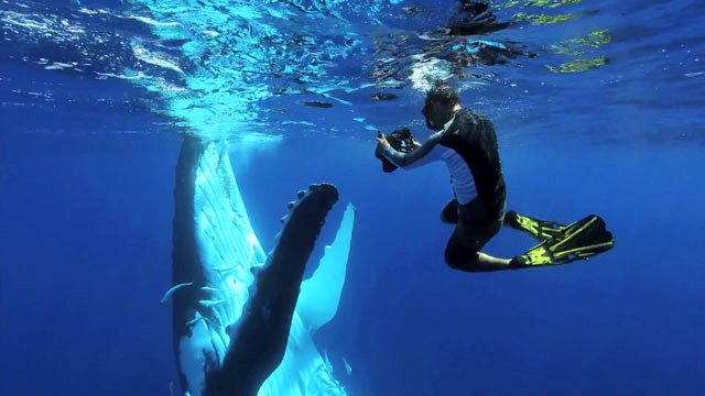 Photo from the movie Tales by Light