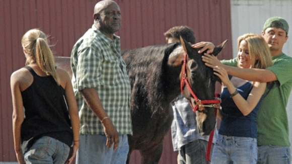 Photo du film Amazing Racer