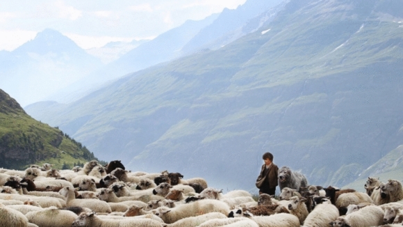 Photo du film Belle et Sébastien