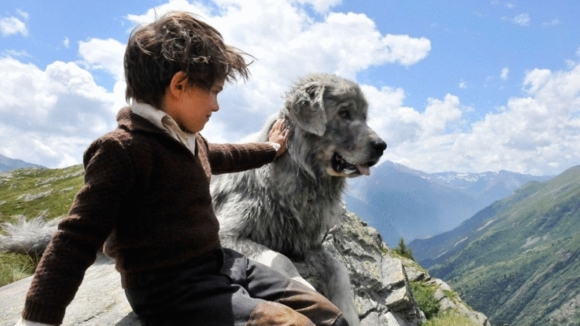 Photo du film Belle et Sébastien