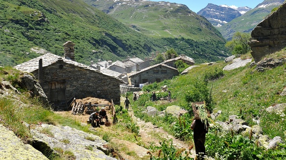 Photo du film Belle et Sébastien