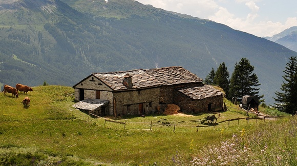 Photo du film Belle et Sébastien
