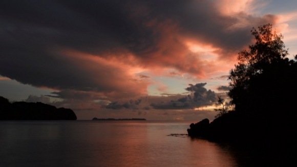 Photo from the movie The Last Reef: Cities Beneath The Sea