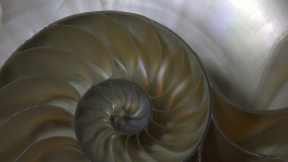 Photo from the movie The Last Reef: Cities Beneath The Sea