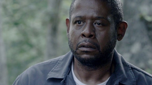 Photo du film Repentance