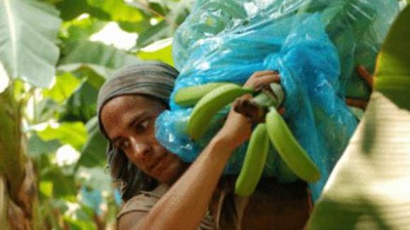 Photo from the movie Rudo y Cursi