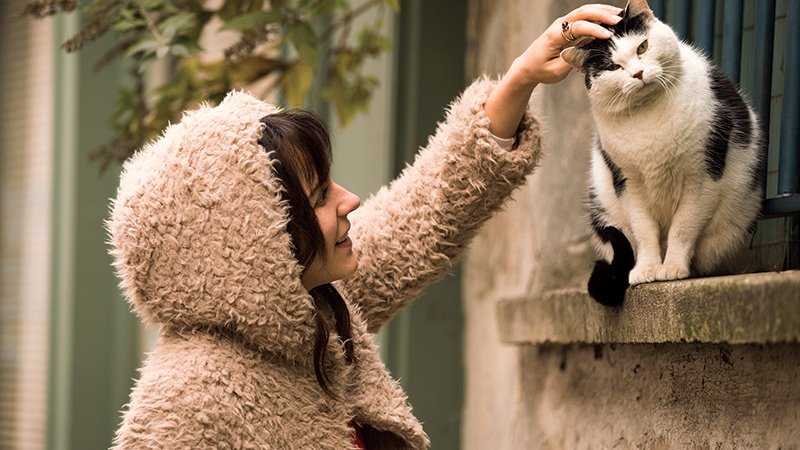 Photo du film Emma Peeters