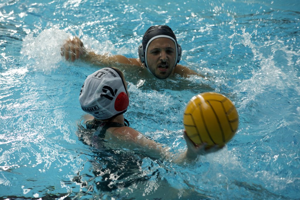 Photo du film Les crevettes pailletées