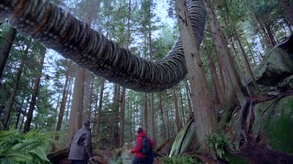 Photo from the movie Behemoth