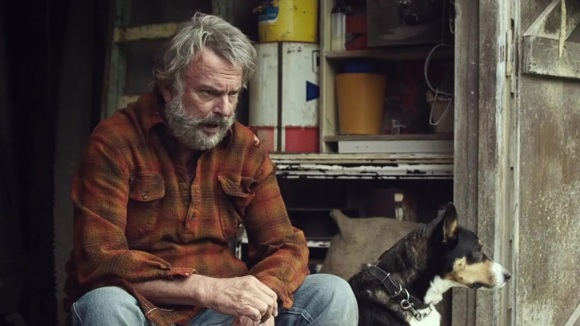 Photo du film Chasse aux Wilderpeople