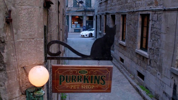 Photo du film Les Neuf vies de M. Boule-de-poil