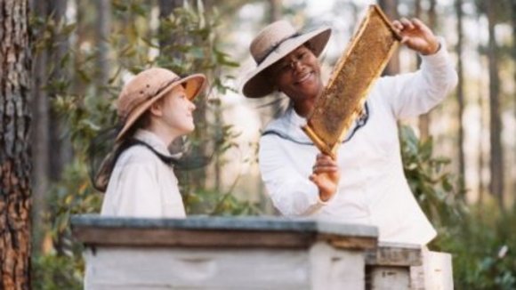 Photo from the movie The Secret Life of Bees
