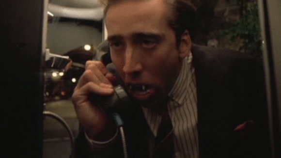 Photo du film Vampire's Kiss