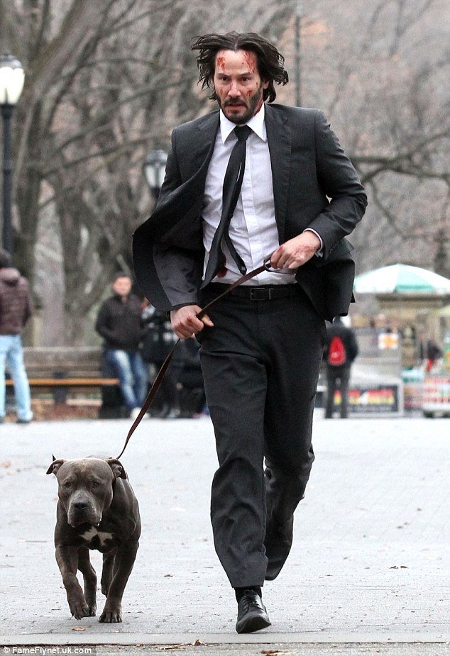 Photo from the movie John Wick: Chapter 2