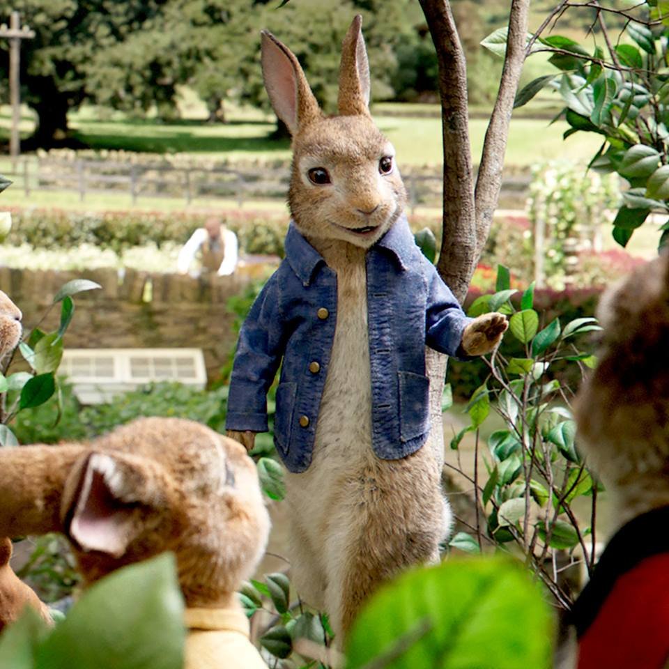 Photo du film Peter Rabbit 2: The Runaway