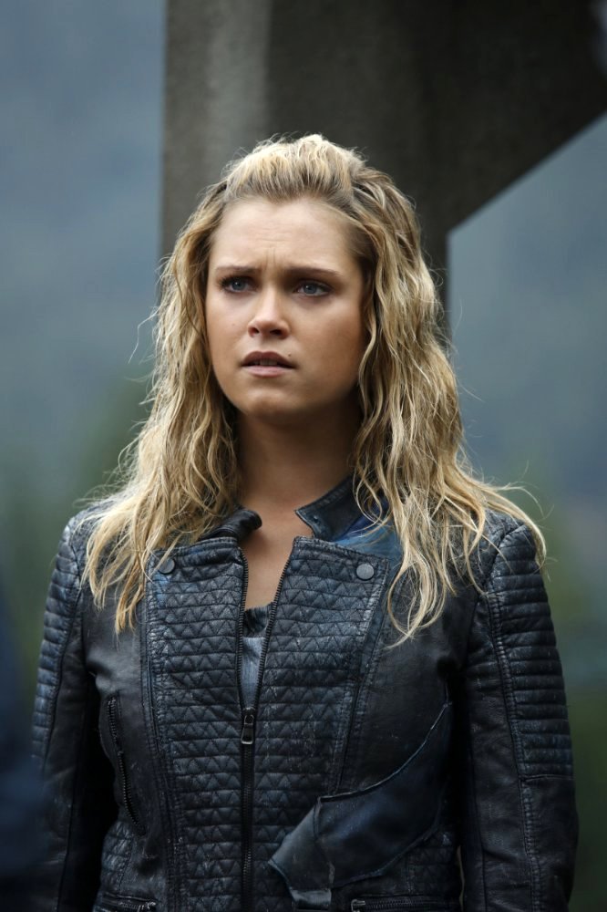 Photo du film The 100