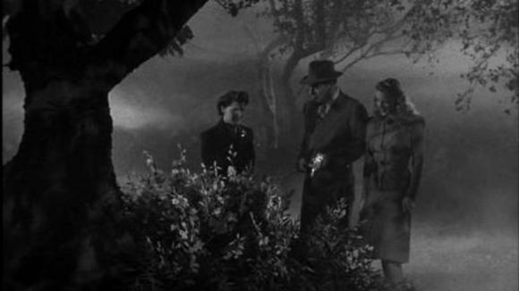 Photo du film Le Loup-garou