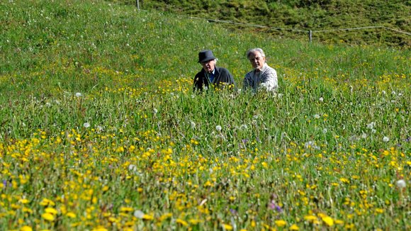 Photo from the movie Youth